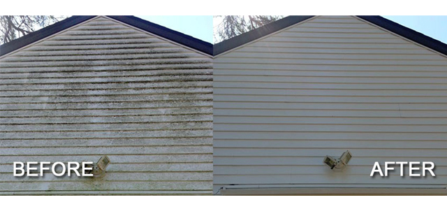 best siding cleaning service 